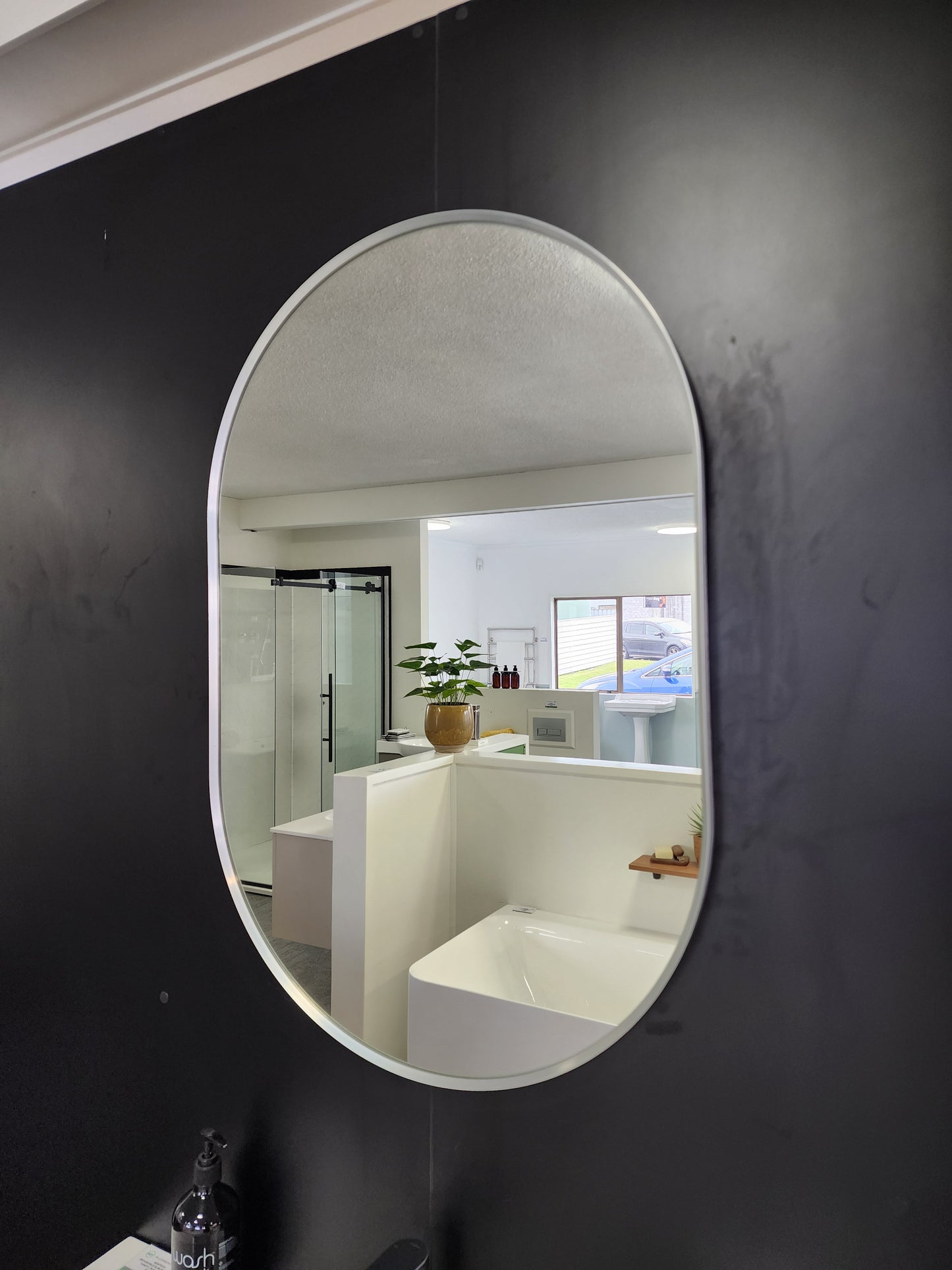 Waterware Oval 900x600 Mirror - Brush Stainless